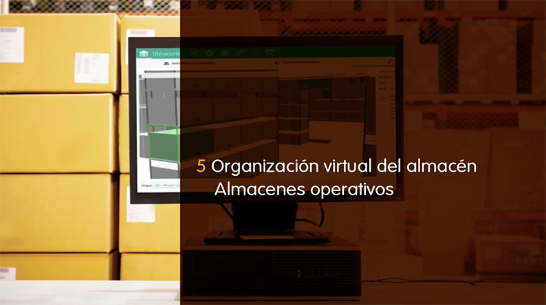 organización virtual almacén